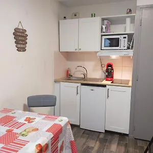Le Petit Du Tourmalet Pied Des Pistes - Apartamento